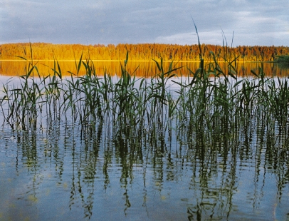 Jezioro Wigry fotografia Mirosław Wiśniewski