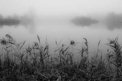 Poranne mgły fotografia Mirosław Wiśniewski